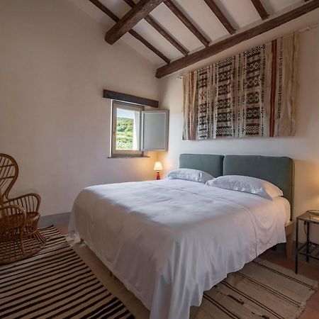 Locanda Fontelupa Campagnatico Номер фото